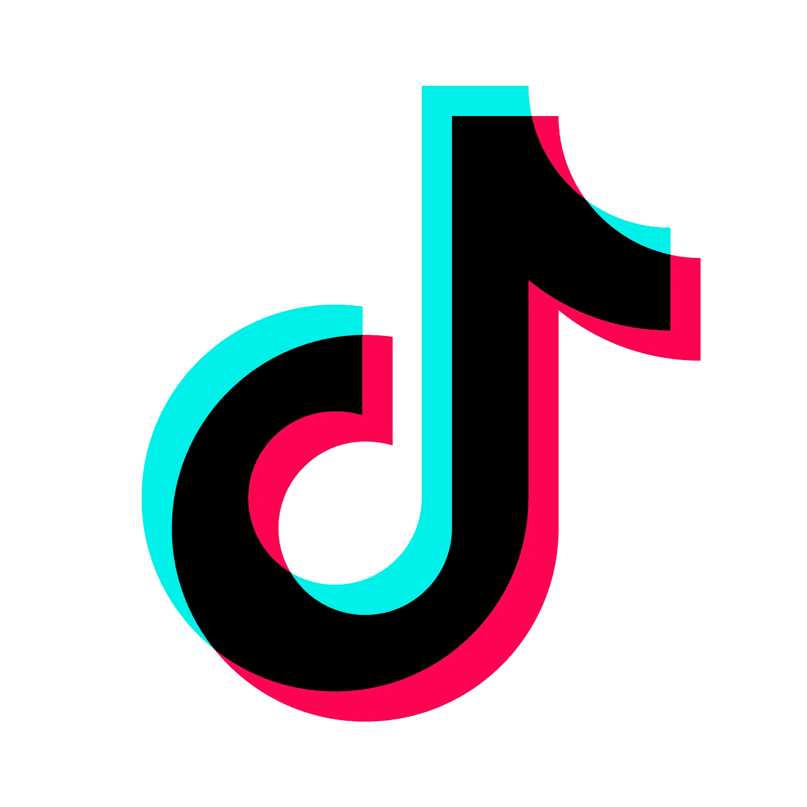 TikTok Marketing Partner